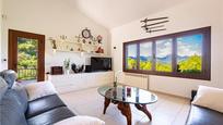Sala d'estar de Casa o xalet en venda en Puigpunyent amb Aire condicionat, Calefacció i Jardí privat
