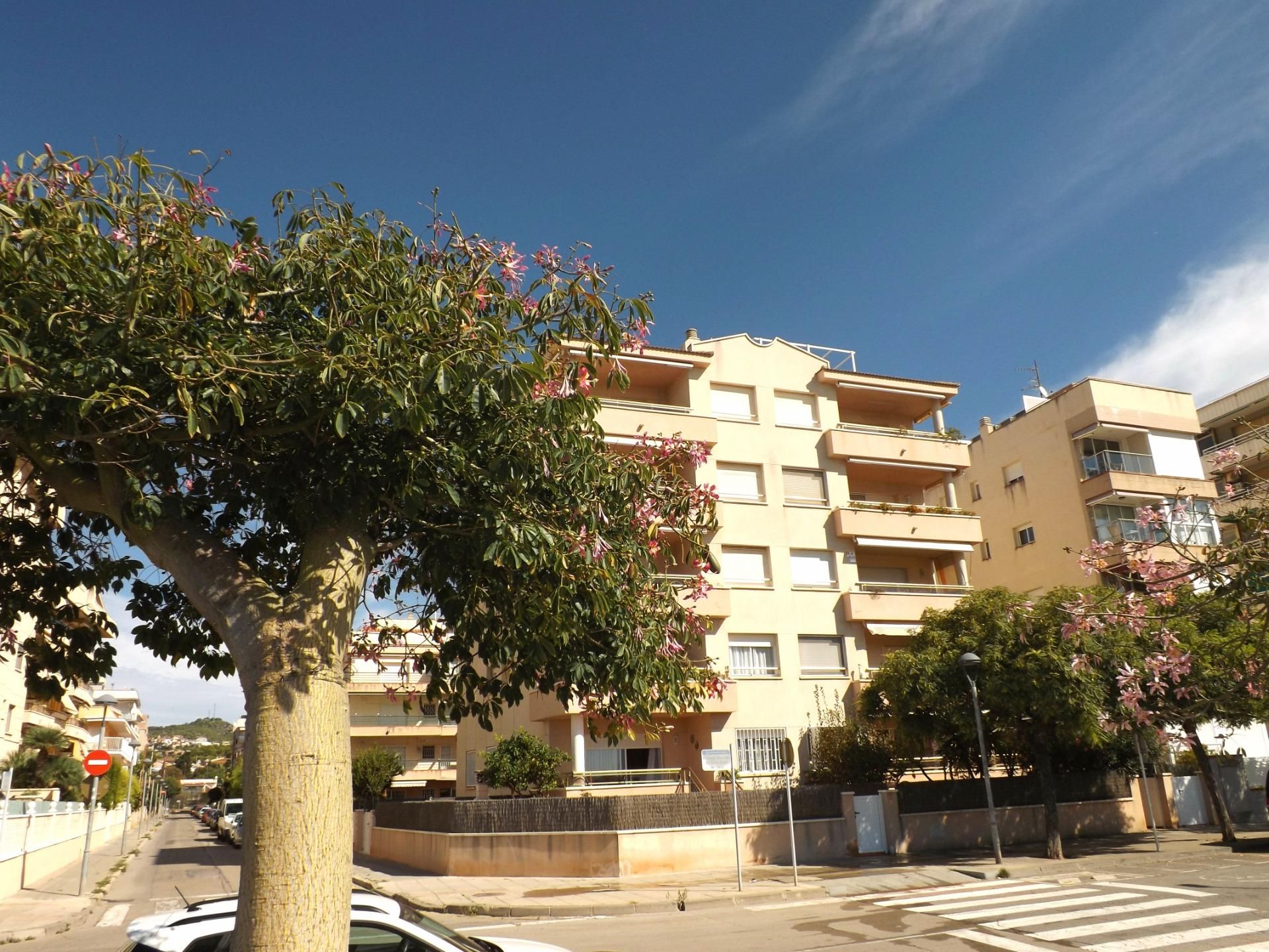 Vista exterior de Planta baja en venta en Calafell con Aire acondicionado, Calefacción y Jardín privado