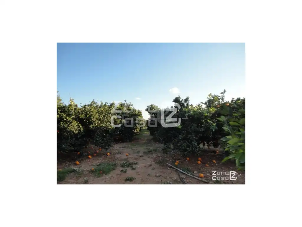 Country house for sale in Alfarb, imagen 2