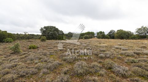 Foto 3 de Residencial en venda a Los Hueros, Villalbilla