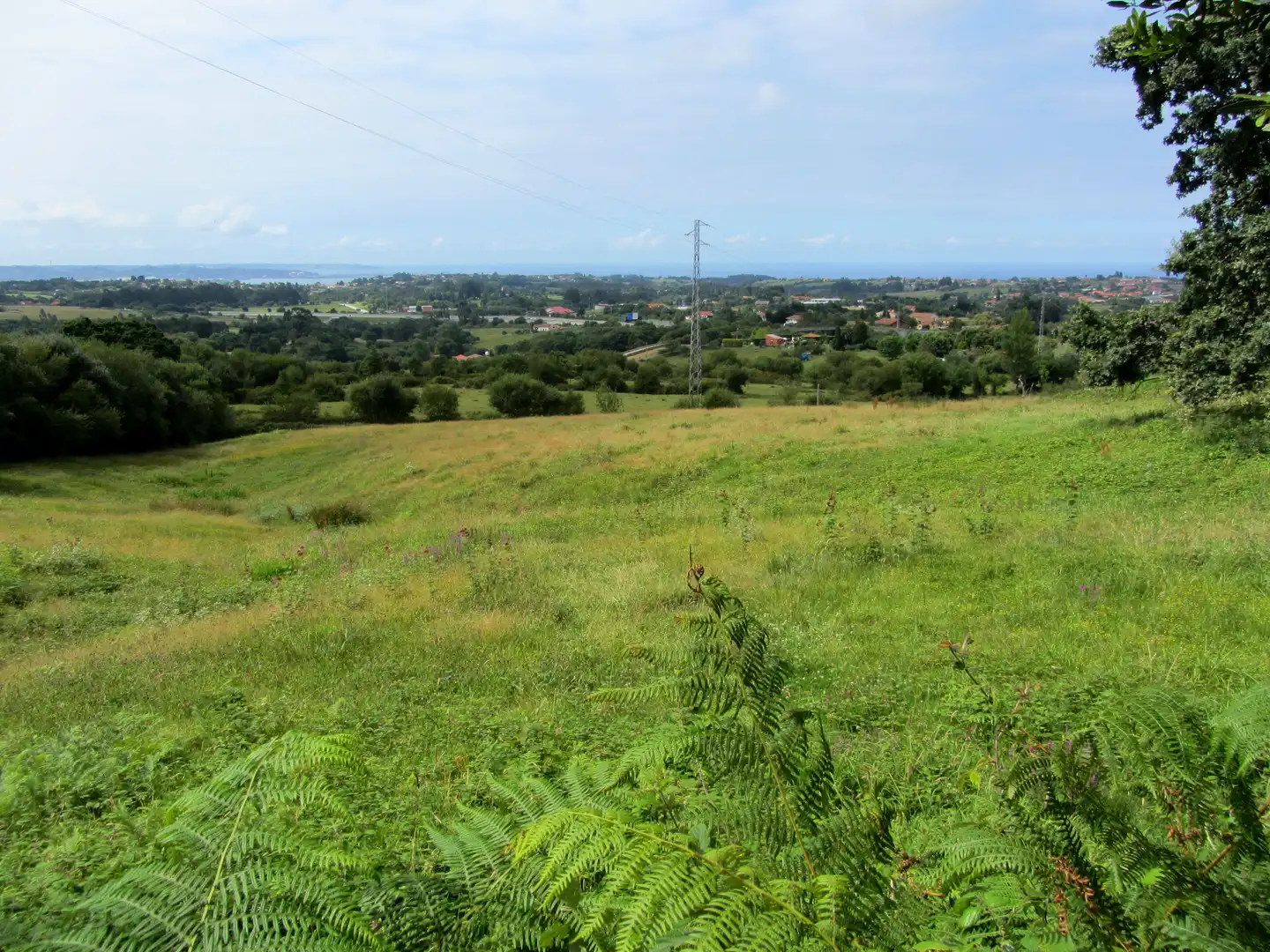 Terreny residencial en venda a Camin de los Payares