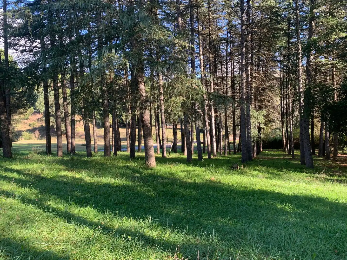 Terreno residencial en venta en Carrer del Xaloc 28, imagen 7
