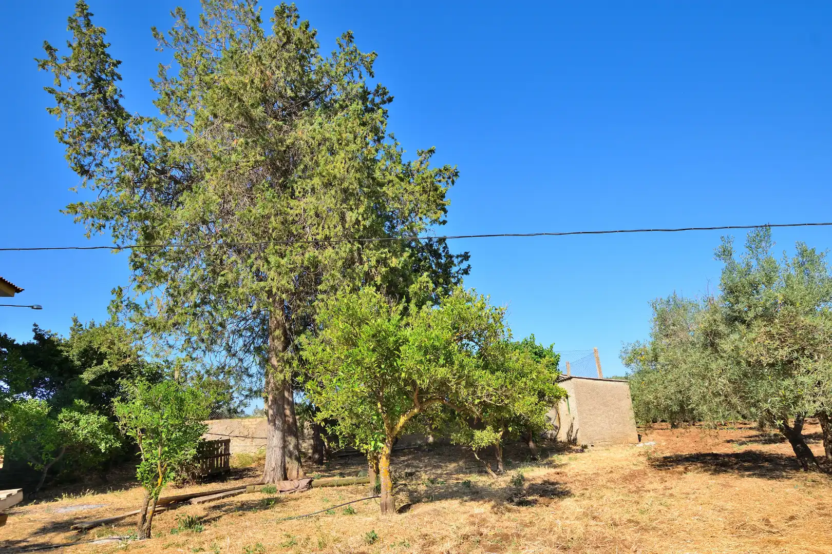 Finca rústica en venta en Setenil de las Bodegas con Jardín privado, Terraza y Trastero