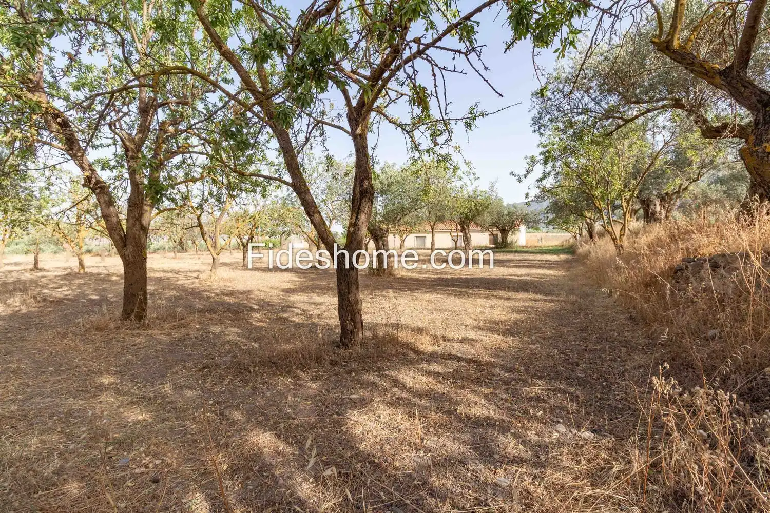 Rural land for sale in XFG2+MG9 Nigüelas 0, imagen 20
