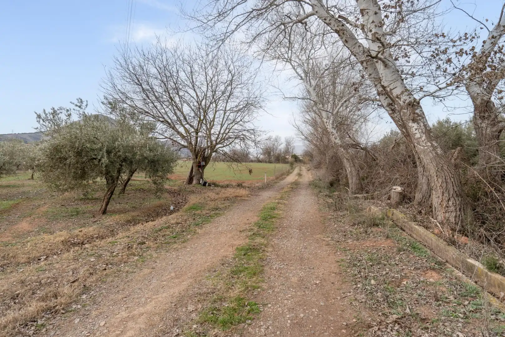 Terrenys i solars en venda a Polígono 23 Parcela 63 LA ZANJA. ALBOLOTE (GRANAD 23, imagen 10