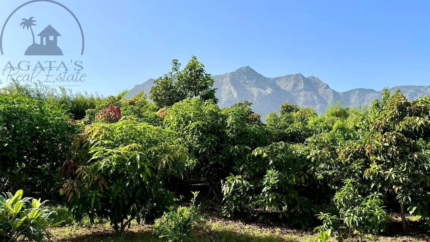 Vista exterior de Finca rústica en venda en Buenavista del Norte amb Jardí privat i Terrassa