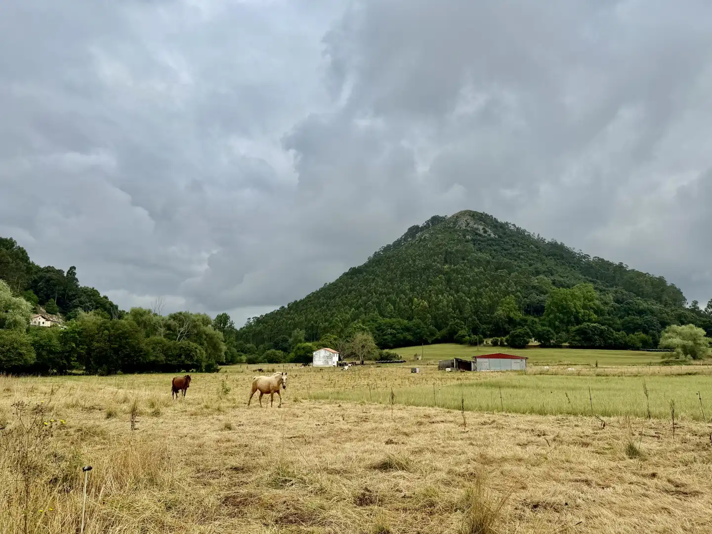 Terreno en venta en Medio Cudeyo