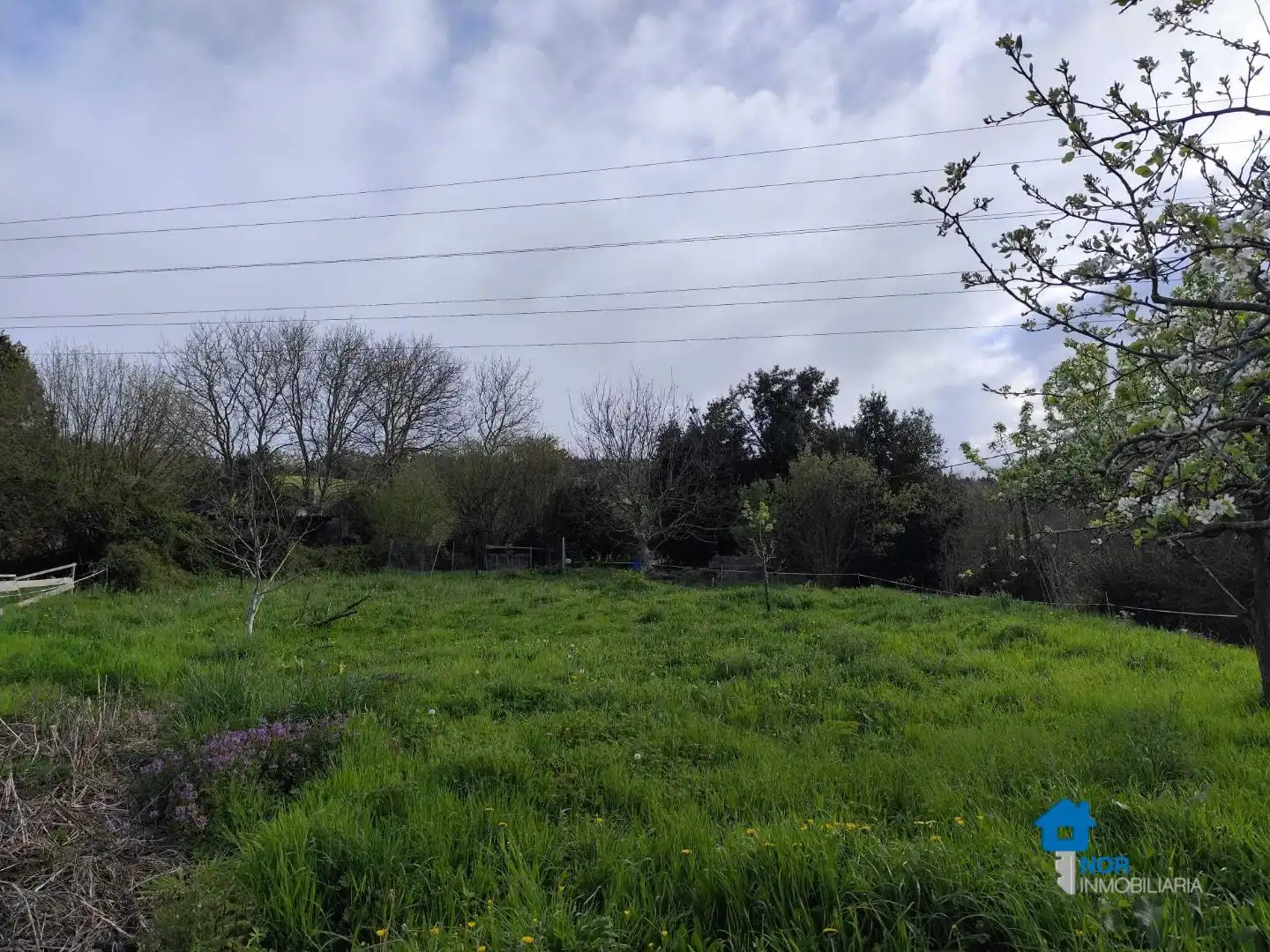 Residential for sale in Bárcena de Cicero
