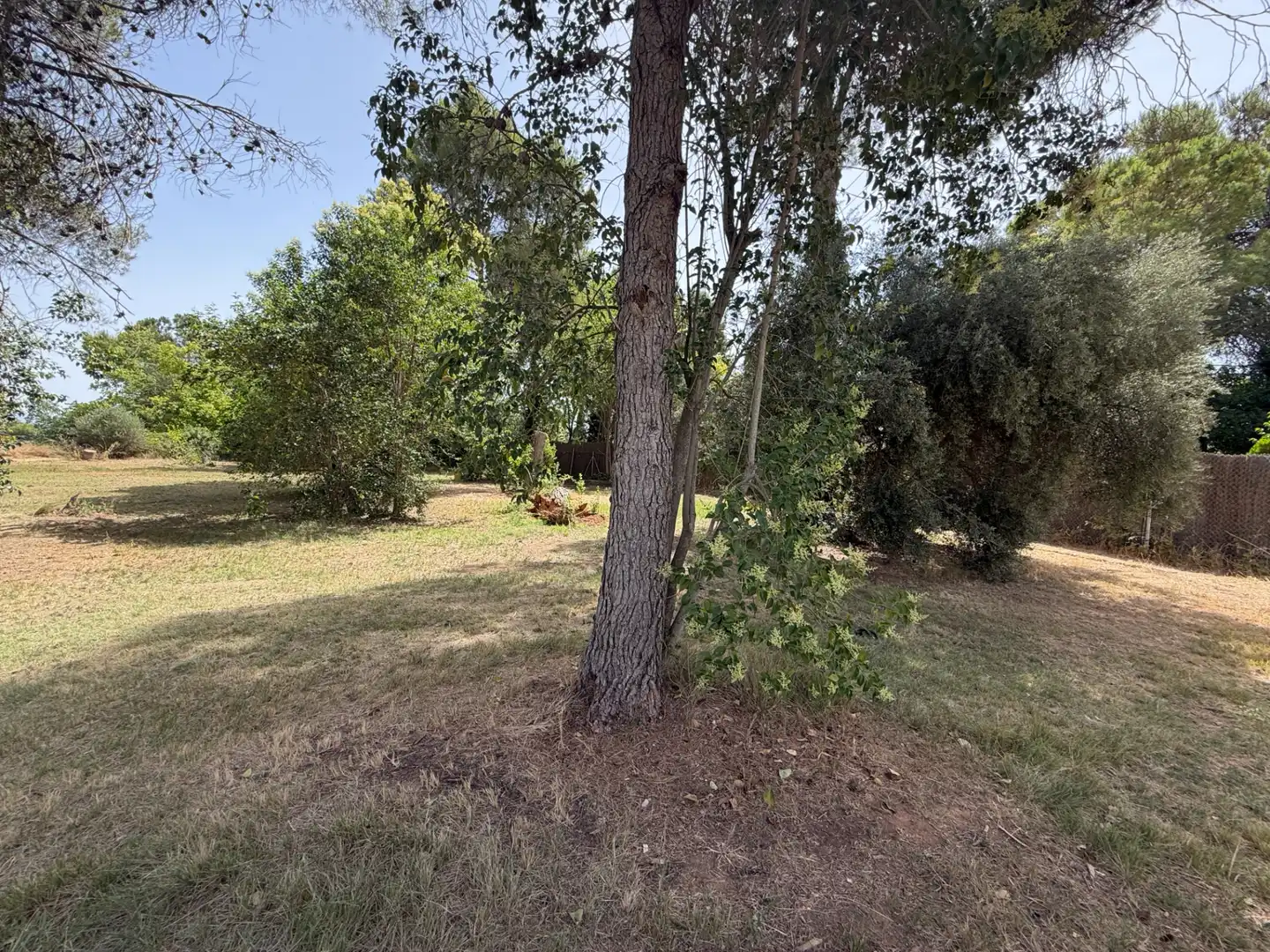 Residencial en venda a Camí de Lleida, 14, Els Alamús
