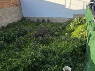 Terreni e lotti in vendita a El Romeral - Peñón de Zapata