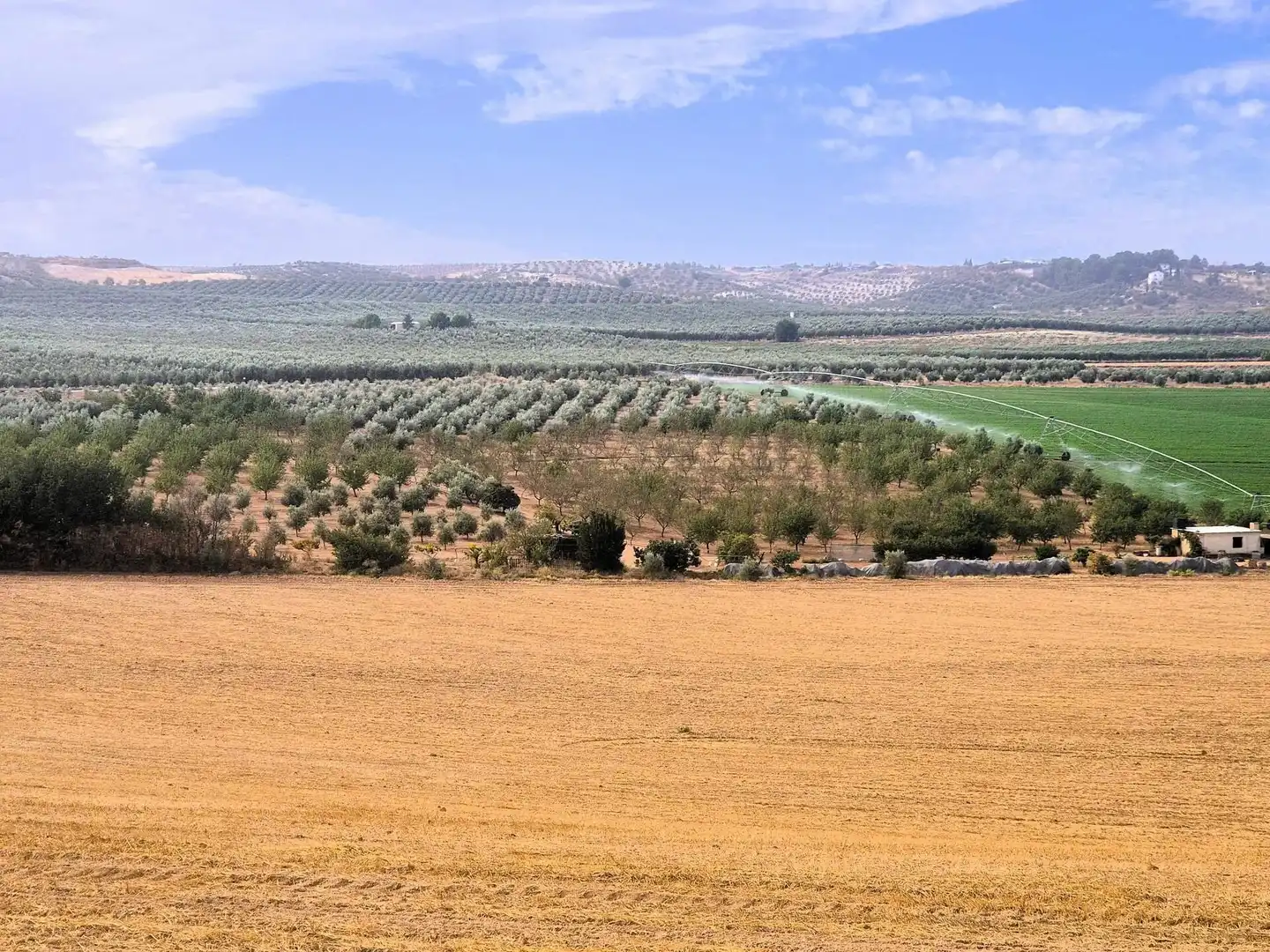 Terreny rústic en venda a Moraleda de Zafayona, imagen 3