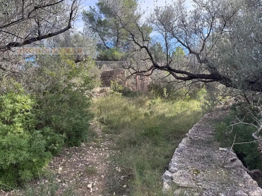 Country house for sale in Poligono 82 Paraje 6 Camp-Redo, imagen 38