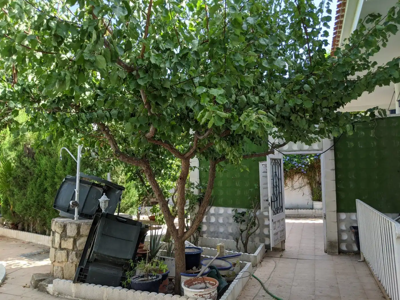 Casa o chalet en venta en Archena
