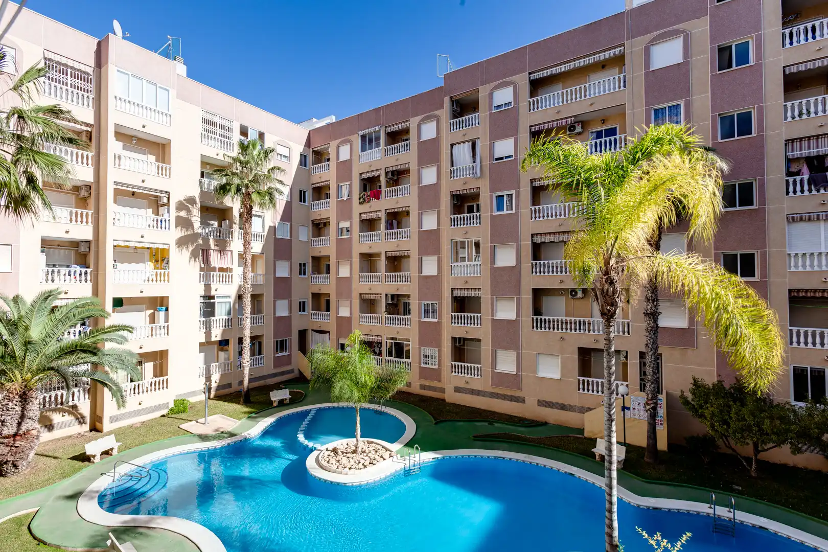 Vista exterior de Estudio en venta en Torrevieja con Terraza, Amueblado y Piscina comunitaria