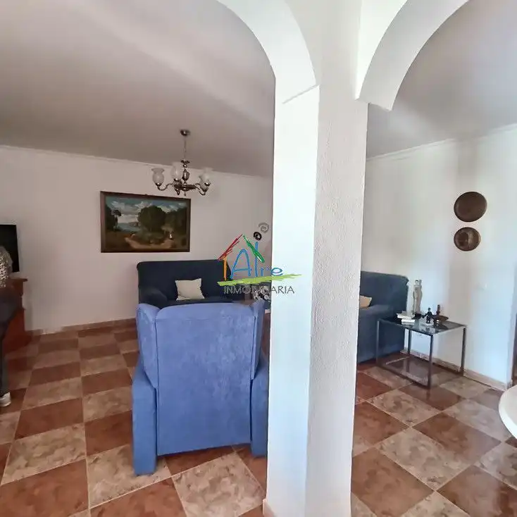 Sala d'estar de Casa o xalet en venda en Almonte amb Terrassa