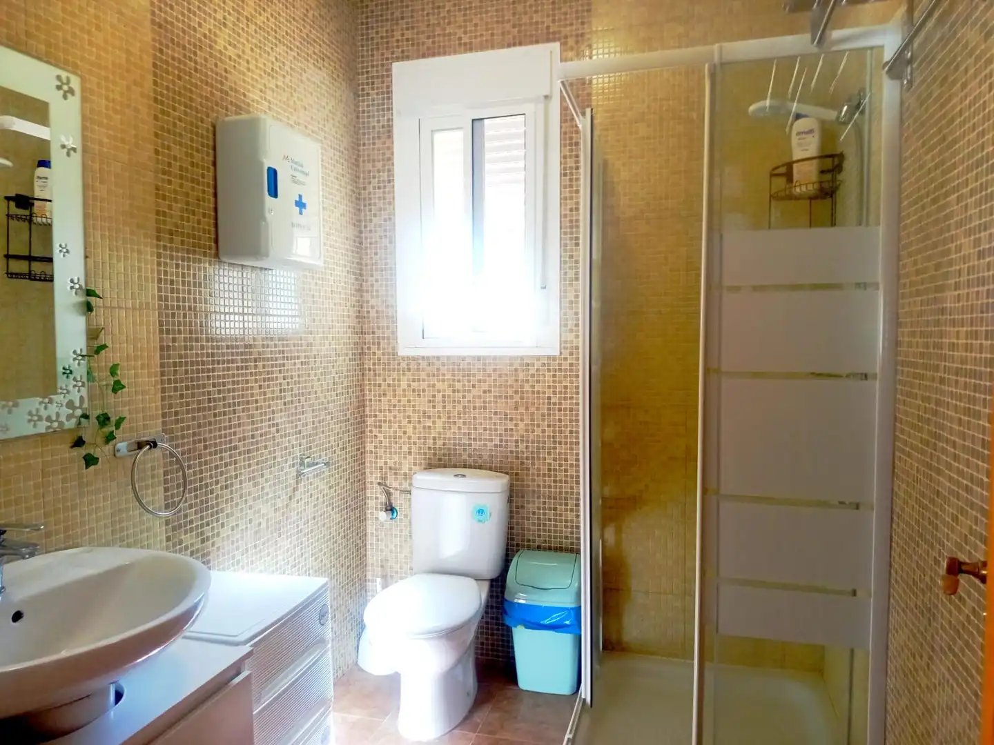 Baño de Casa o chalet en venta en Chiclana de la Frontera
