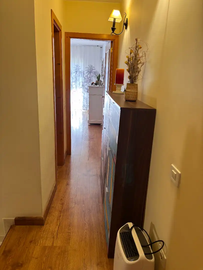 Detached homes for sale in La Laguna