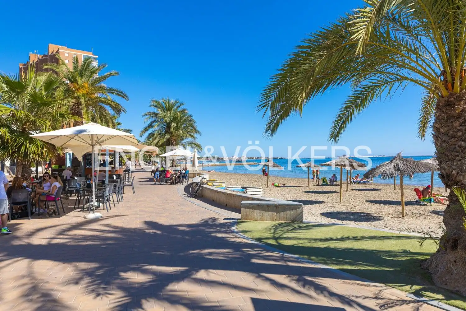 Vista exterior de Casa o chalet en venta en San Pedro del Pinatar con Aire acondicionado, Calefacción y Jardín privado