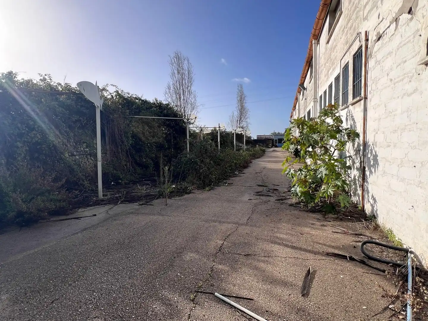 Industrial building for sale in Carretera de las Industrias 9, imagen 13