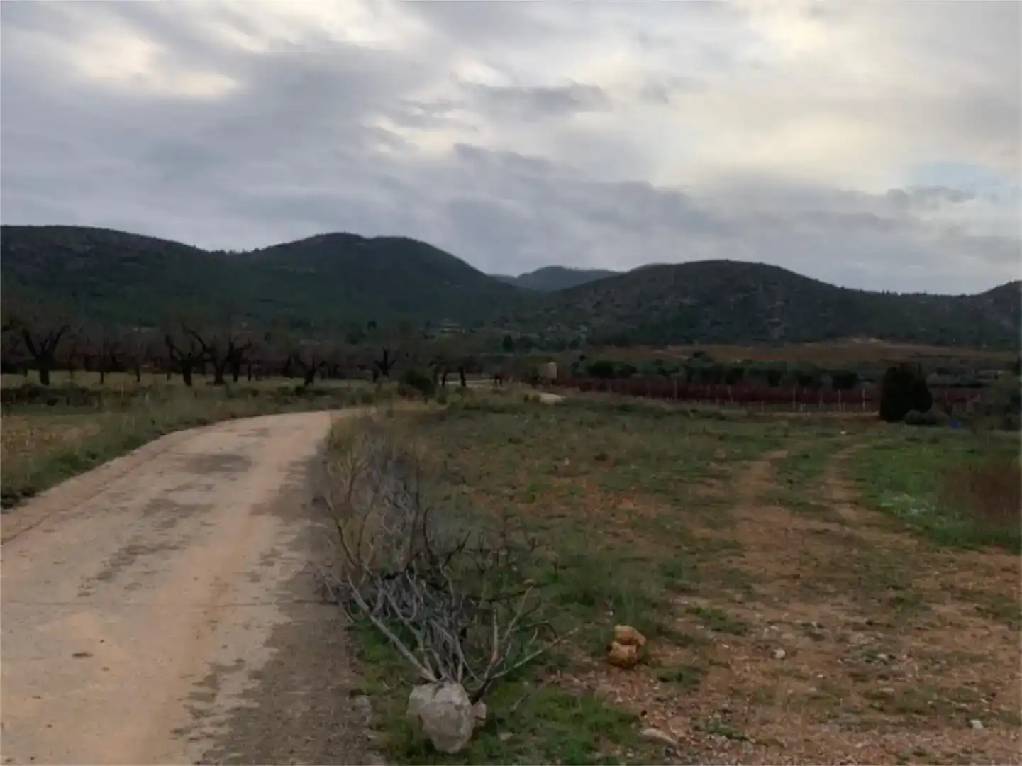 Finca rústica en venta en Calles