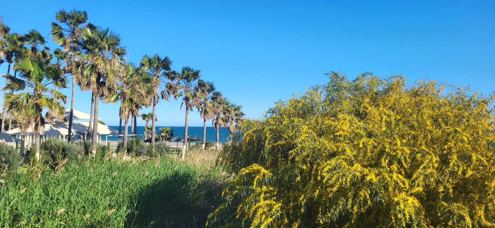 Chalet con jardín en venta en Benamara - Atalaya, imagen 30