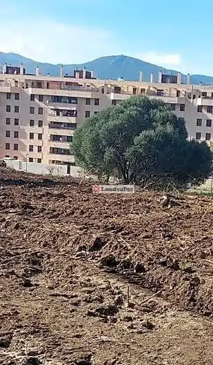 Terrenos y solares en venta en De América 1, imagen 5