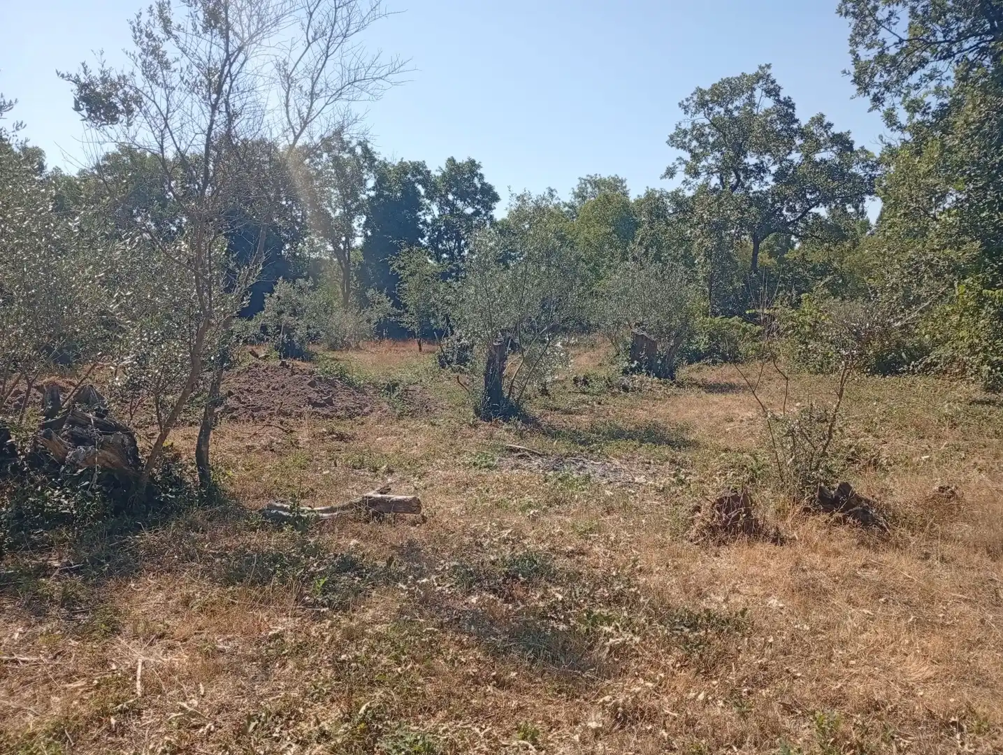 Terreni e lotti in vendita a Villanueva de la Vera, imagen 25