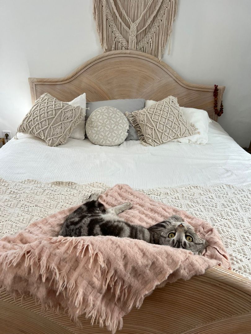 Bedroom of Attic for sale in Las Palmas de Gran Canaria  with Terrace and Storage room