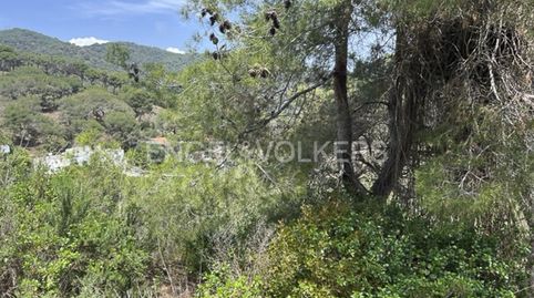 Terreno con espléndidas vistas, immagine 3
