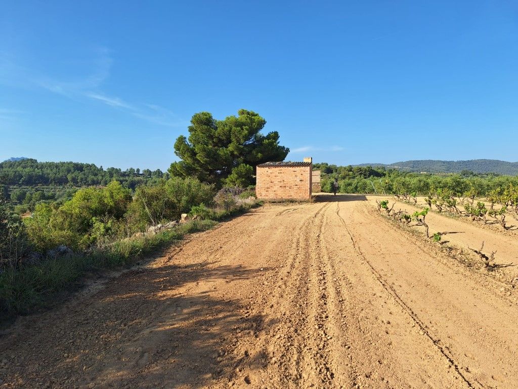 Finca rústica en venda en Bot amb Jardí privat i Terrassa