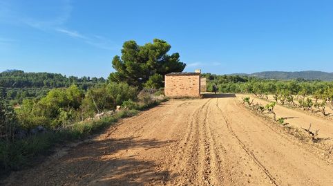 FINCA RÚSTICA DE 2,4 Ha. CON CASA DE CAMPO DE 35 M2 CON PERMISO PARA REFORMAR Y AMPLIAR.