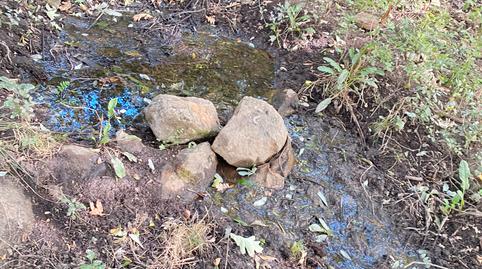 Foto 5 de Terreny en venda a N/a, -1, Rebollar (Cáceres), Cáceres