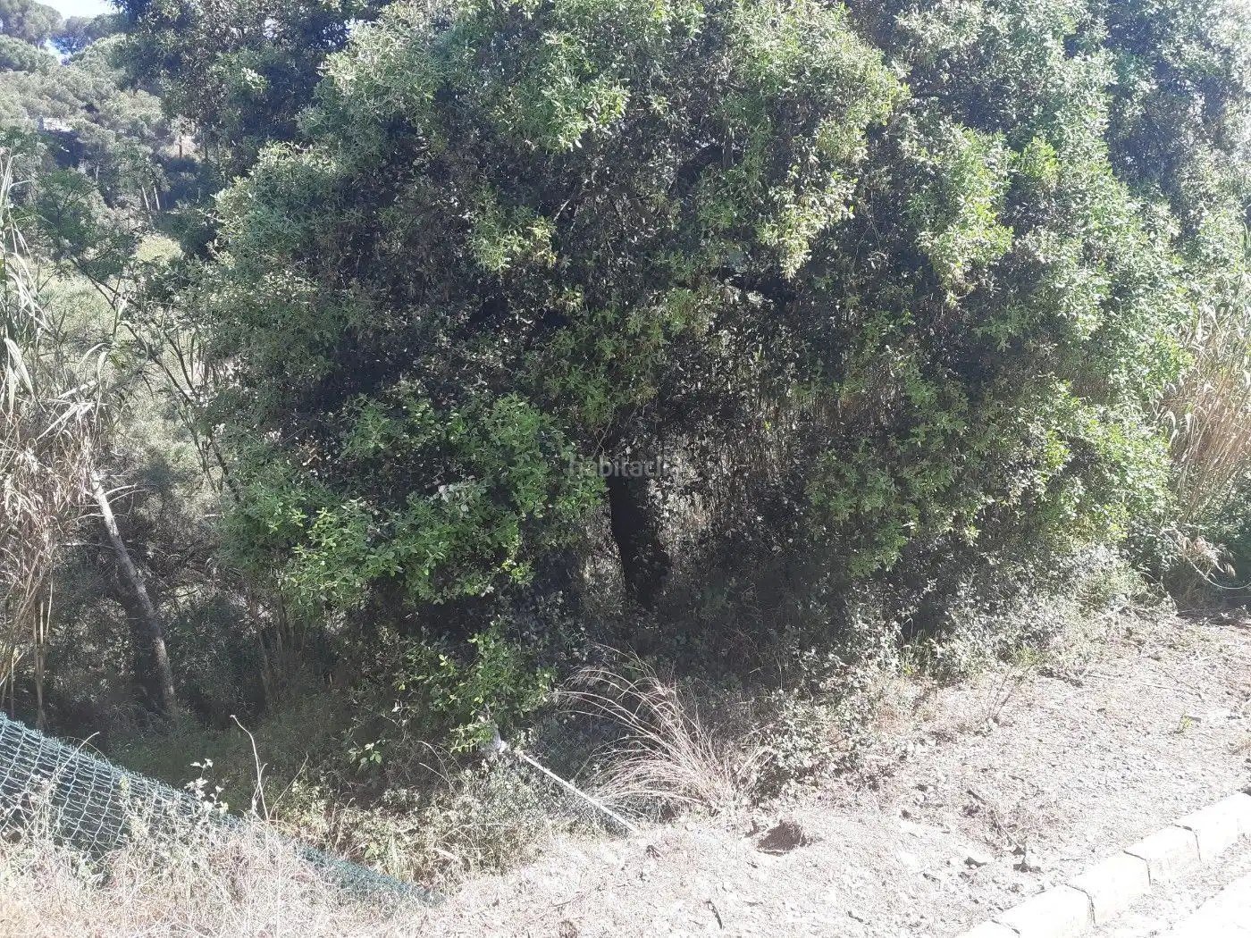 Lands and plots for sale in Can Massuet del Far, imagen 3