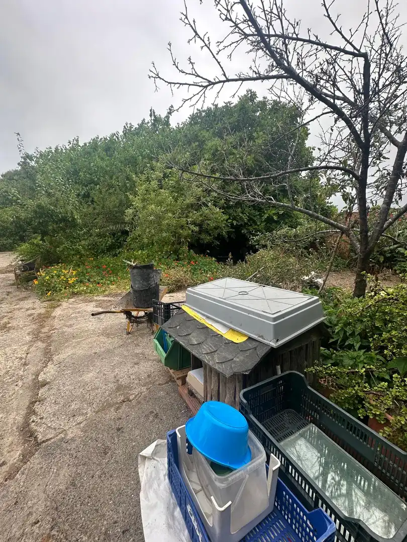 Terreni e lotti in vendita a Camí de les Parets a la Murtra, imagen 14