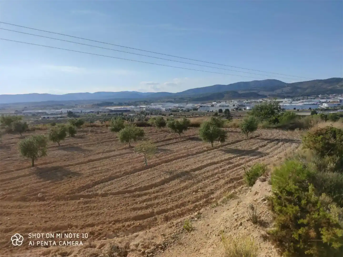 Finca rústica en venda en Ibi