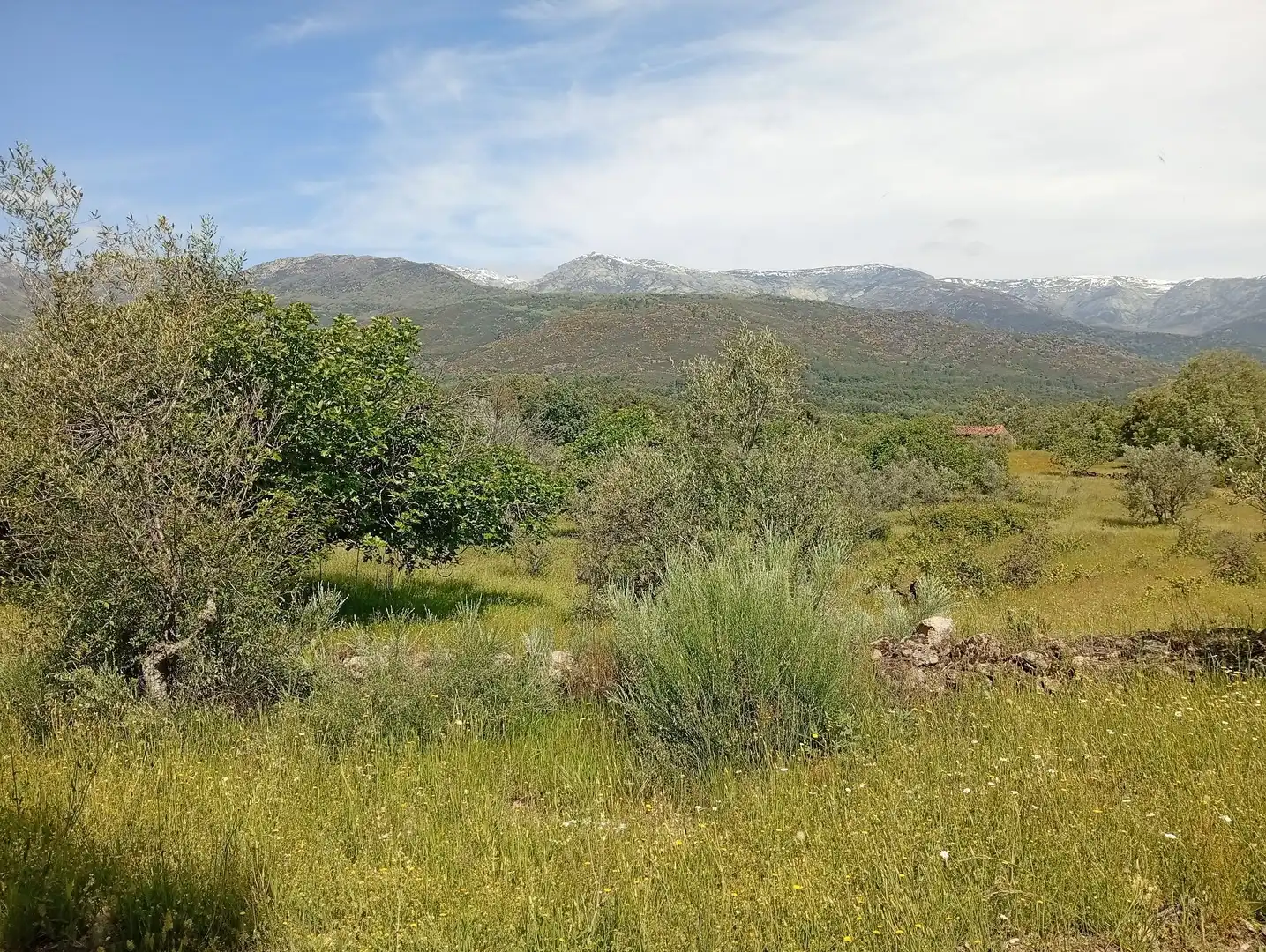 Terreni e lotti in vendita a Villanueva de la Vera, imagen 76