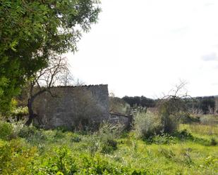 Finca rústica en venda en Muro