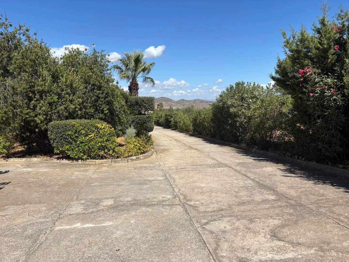 Chalet con piscina en venta en Centro, imagen 46
