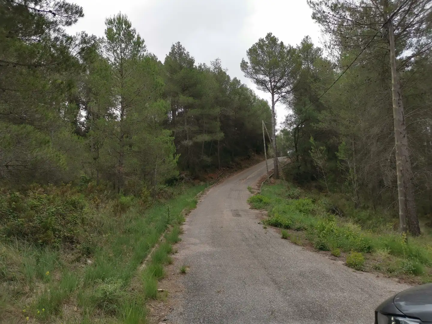 Terreny residencial en venda a El Montmell, imagen 4