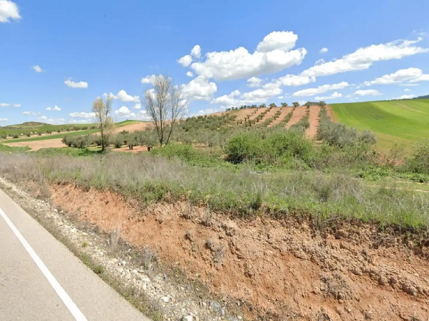 Terreny rústic en venda a Tórtola de Henares, imagen 7