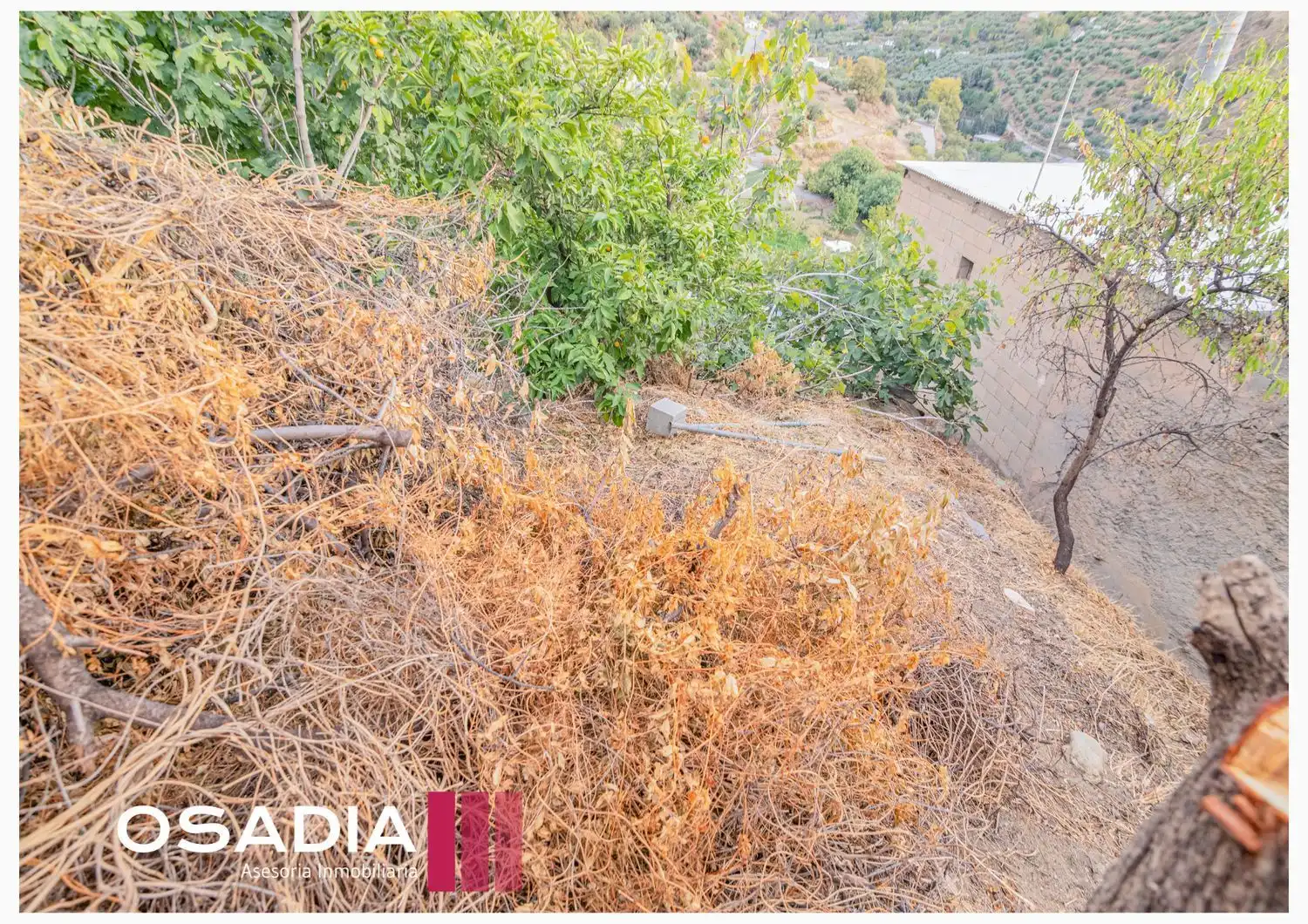 Casa o xalet en venda en Monachil