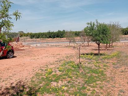 Land for sale in Alcàsser