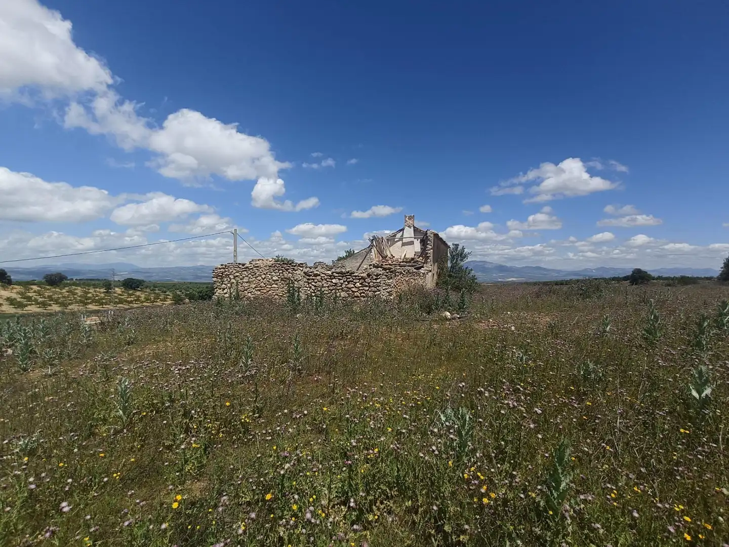 Finca rústica en venta en Salar