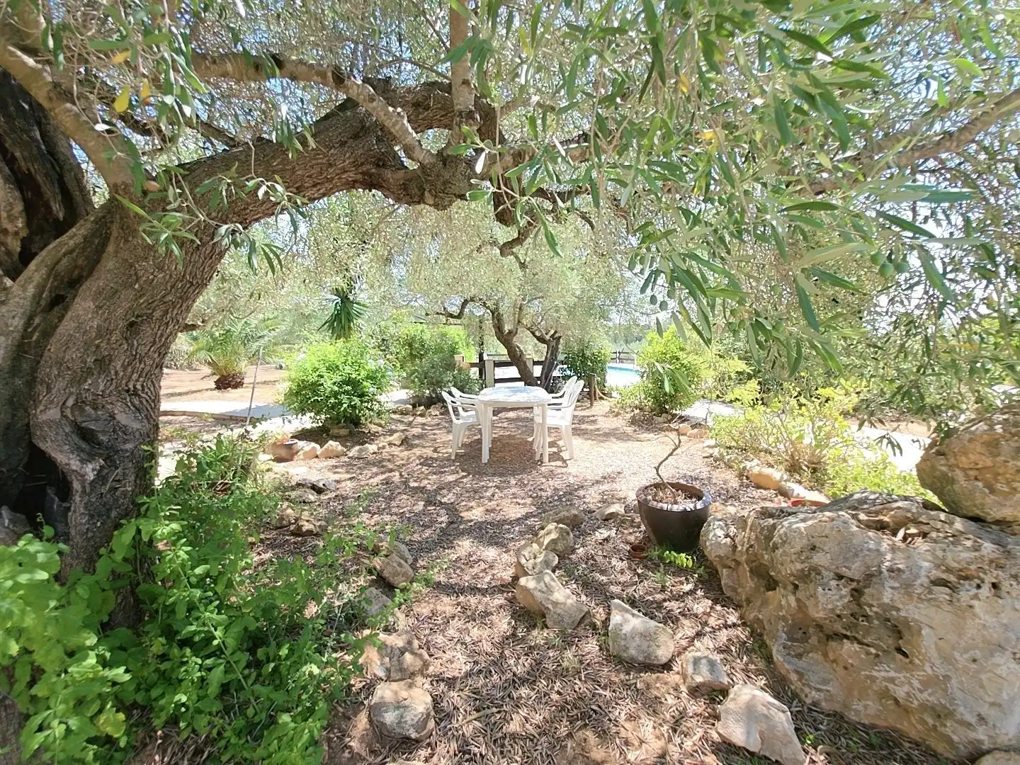 Garten von Country house zum Verkauf in L'Ametlla de Mar  mit Privatgarten, Terrasse und Schwimmbad