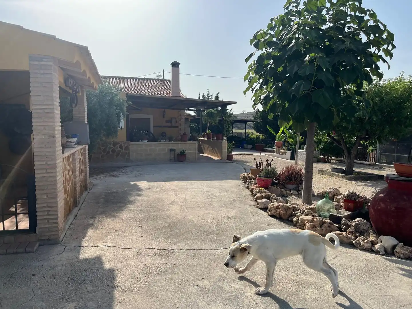 Vista exterior de Casa o chalet en venta en Murcia con Aire acondicionado, Calefacción y Terraza