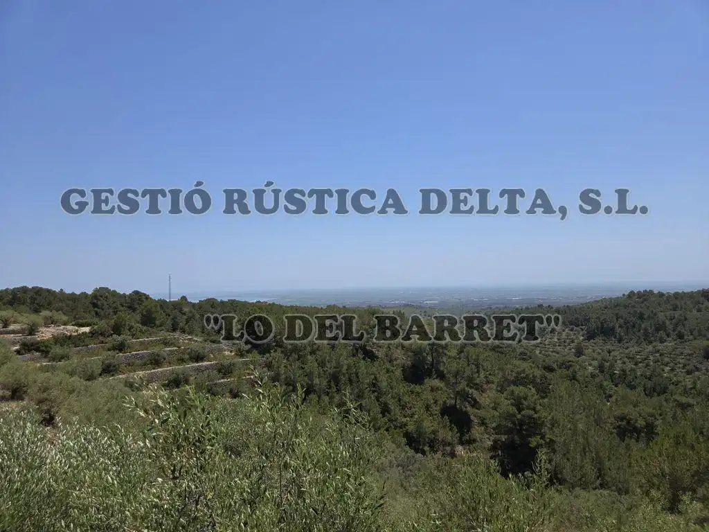 Exterior view of Country homes for sale in Tortosa  with Terrace