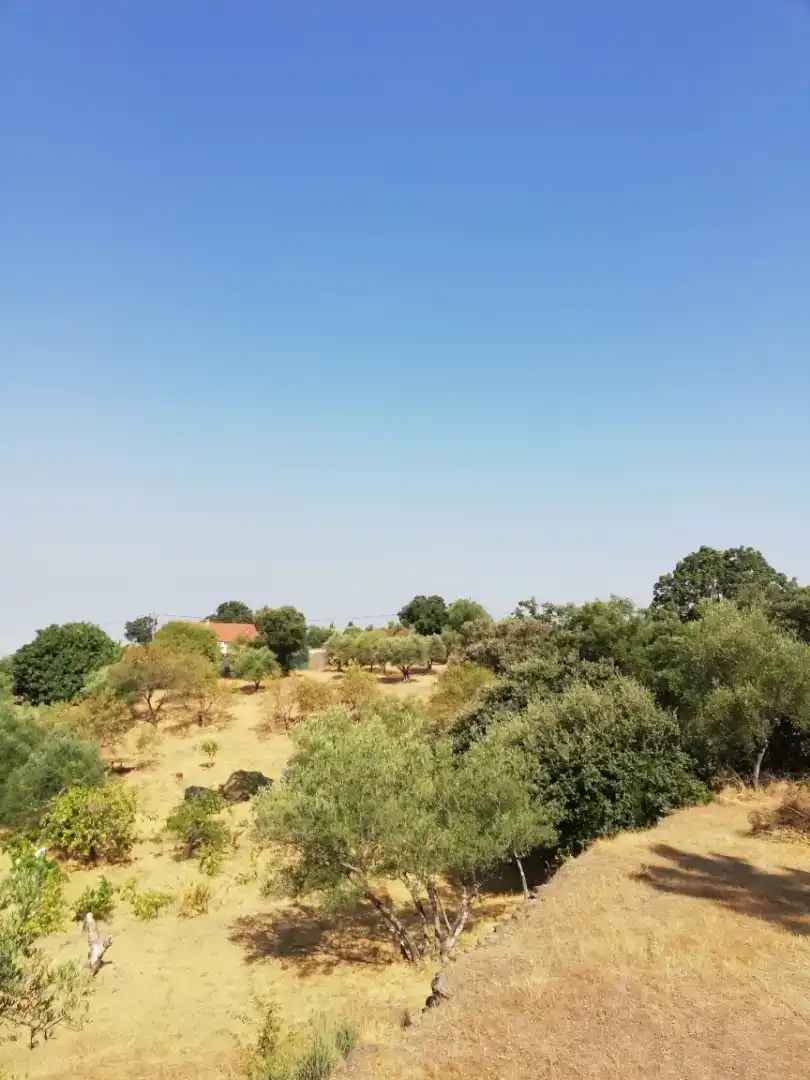 Finca rústica en venda en Plasencia amb Jardí privat, Traster i Piscina