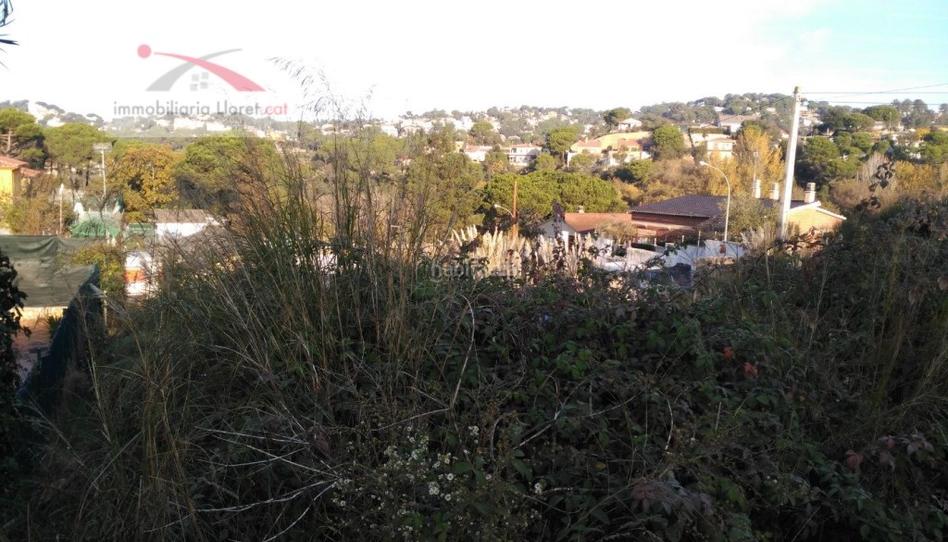 Foto 1 de Residencial en venta en Lloret Residencial - Montlloret, Girona