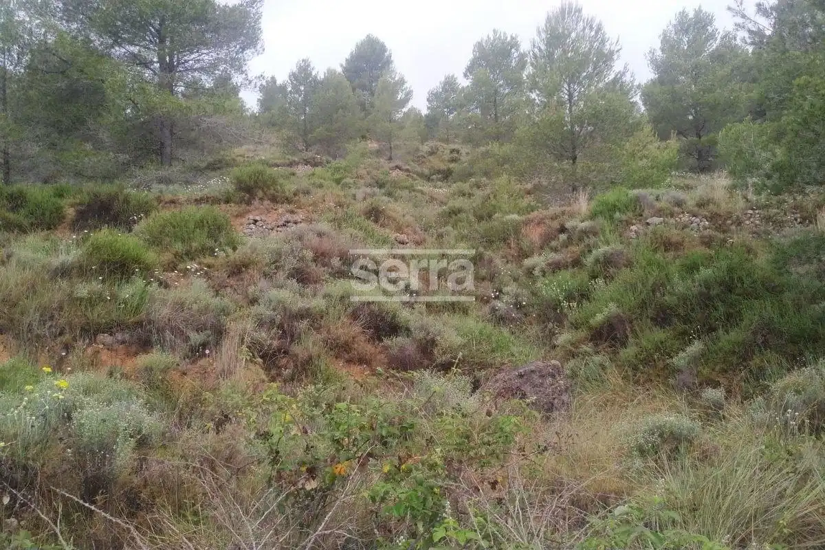 Land for sale in Torrelles de Foix