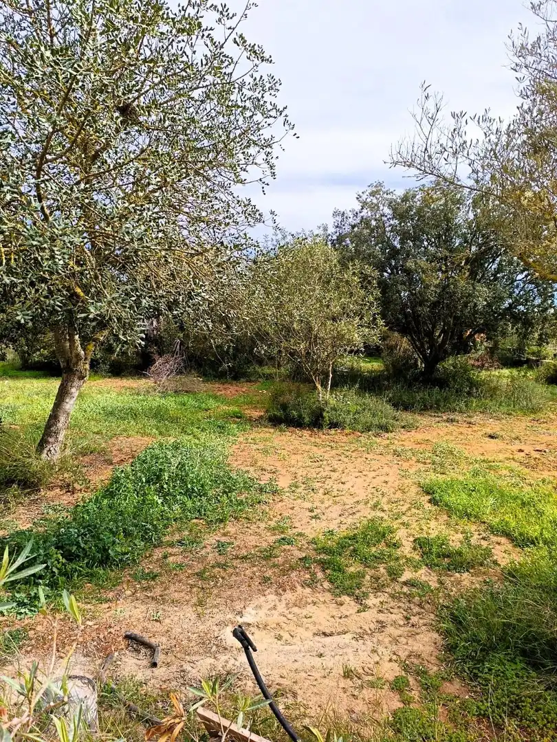 Houses for sale in Manacor  with Air Conditioner, Heating and Private garden